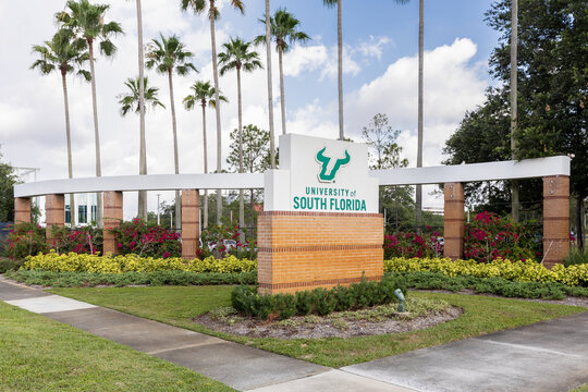 Tampa, FL, USA - May 29, 2024: The University of South Florida is a public research university with their main campus in Tampa, FL. Their mascot is the Bulls.