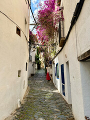 Fototapeta premium narrow alley between white houses and some covered with bougainvillea in Cadaqués, Costa Brava, Girona, Catalonia, Spain