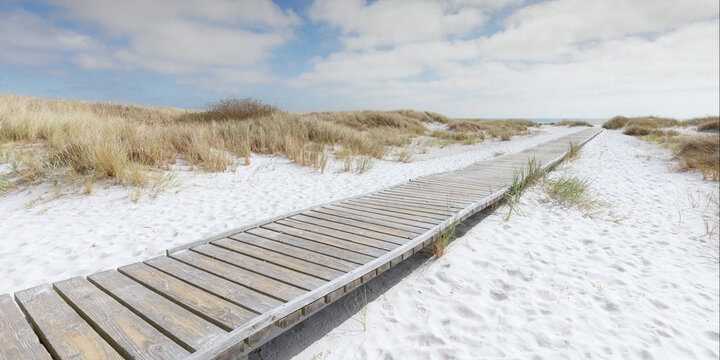Boardwalk leading through the sand dunes to the beautiful white beach Dueodde on the island Bornholm in Denmark.