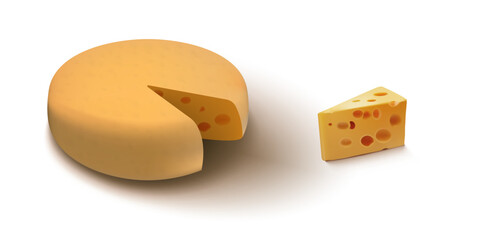 Realistic Cheese Head And Piece Of Cheese