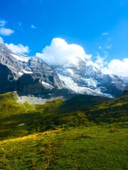 Snow-Capped Peaks and Meadow Bliss