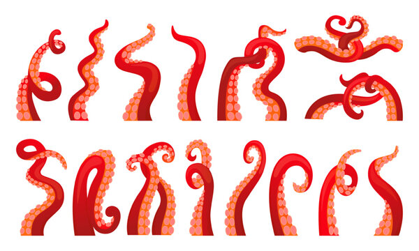 Octopus tentacles set. Cartoon body parts, ocean squid elements. Seafood, marine restaurant symbols. Underwater animals, neoteric vector set