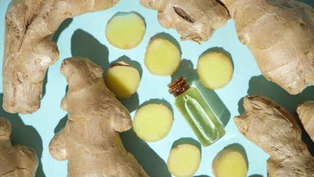 Natural ginger oil in glass bottle among ginger root rotating top view.