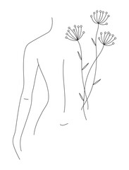  Editable line art with elegant female figure, woman body with floral design, medicine flowers and herbal cosmetics