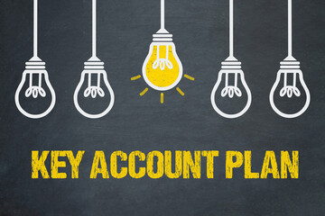 Key Account Plan	