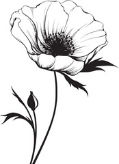 Simple Geometric Emblem Floral Logo Minimal Daisy Symbol Logo Graphic