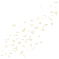 White Cherry Blossom Petals Rose Falling Flower Illustration Art