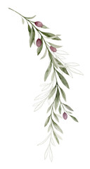 Obraz premium Watercolor vector branch with olive branches and green foliage. Hand painted botanical illustration. Greenery clipart for greeting cards, decoration, invitation, stationery design.