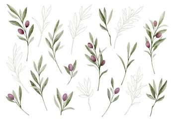 Watercolor vector set of branches with olives and line art. Green clipart for greeting cards, decoration, invitations, stationery design. Hand-painted botanical illustration.