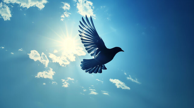 dove in the sky, side profle, 