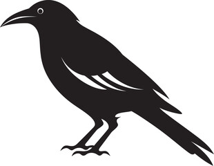 Stylish Crow Illustration Clean Vector Art Minimalist Crow Iconography Elegant Logo