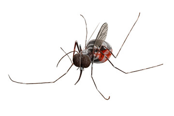 Aedes mosquito in a bite post, as seen from a stylized, semi-realistic perspective in a 3D depiction