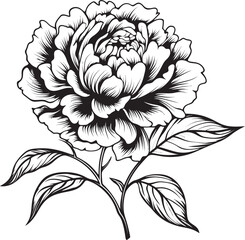 Minimalistic Peony Vector Stylish Art Simple Peony Icon Clean Design