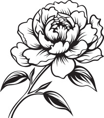Chic Peony Design Whimsical Logo Clean Line Drawing of Peony Modern Graphic