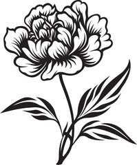 Chic Peony Flower Design Stylish Logo Symbol Minimalist Wild Ibex Vector Clean Design Concept