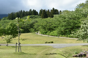 日本の福島県の名所　会津にある亀ヶ城跡　周辺の風景