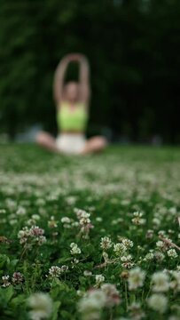 A girl does yoga in a park in a clearing covered with clover. The focus shifts from flowers to a woman