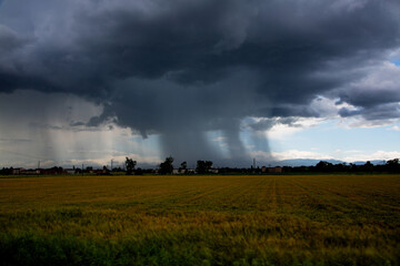 Tornado over cultivated fields, flat landscape