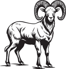 Simple Ibex Logo Chic Graphic Design Elegant Ibex Outline Sleek Logo Concept