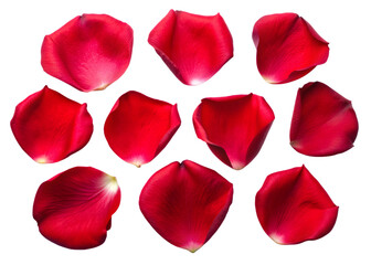 PNG A Set of Red Rose Petals