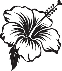 Exotic Hibiscus Symbolism Artistic Logo Design Hibiscus Floral Elegance Creative Icon Evolution
