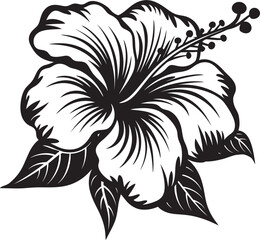 Botanical Hibiscus Art Artistic Floral Emblem Hibiscus Blossom Harmony Symbolic Design Element
