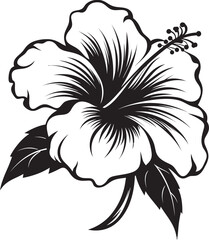 Colorful Hibiscus Oasis Natural Graphic Expression Hibiscus Emblem Design Abstract Floral Art