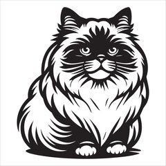 Birman Cat, vector illustration, silhouette