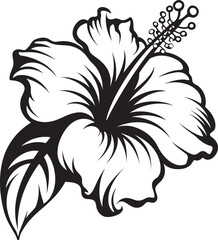 Tropical Hibiscus Essence Minimalist Logo Concept Colorful Hibiscus Oasis Natural Graphic Expression