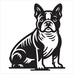 Boston Terrier dog, vector illustration, silhouette