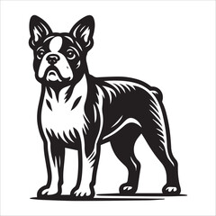 Boston Terrier dog, vector illustration, silhouette