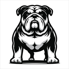 Bulldog, vector illustration, silhouette