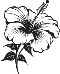 Hibiscus Flower Vector Art Serene Graphic Identity Tropical Hibiscus Bouquet Creative Logo Vision