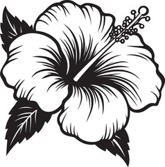 Obraz premium Tropical Hibiscus Essence Minimalist Logo Concept Colorful Hibiscus Oasis Natural Graphic Expression