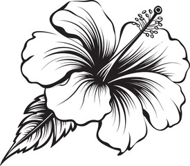 Hibiscus Artistry Minimalistic Graphic Evolution Vibrant Hibiscus Spirit Artistic Logo Art