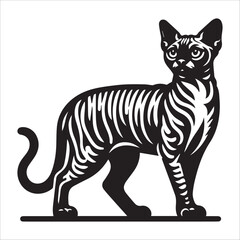 Devon Rex Cat, vector illustration, silhouette