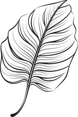 Obraz premium Harmony Creative Creation Artistry Minimalistic Evolution