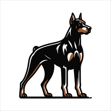 recommend clip art: tags using a comma, no added anything