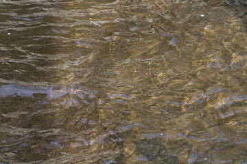 Glimmering reflections off water surface onto shallow rocky bottom