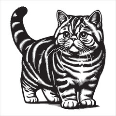 Exotic Shorthair Cat, vector illustration, silhouette