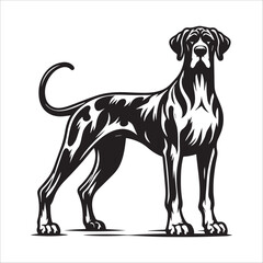 Great Dane dog, vector illustration, silhouette