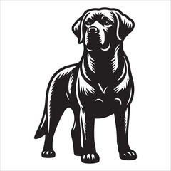 Fototapeta premium Labrador Retriever, vector illustration, silhouette