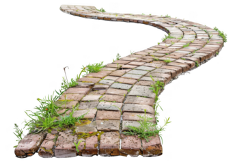A brick walkway with weeds growing on it