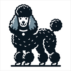 Poodle Dog, vector illustration, silhouette