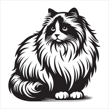 Ragdoll cat, vector illustration, silhouette