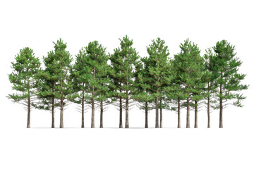 A row of trees with green leaves and brown trunks