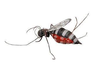 Aedes mosquito in a bite post, as seen from a stylized, semi-realistic perspective in a 3D depiction
