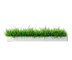 Green grass line isolated on white