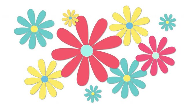 Animated colorful flower seamless looped background. Flowers animation with alpha channel. Blue yellow red daisy flowers on white background.	
