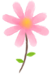 Naklejka premium Drawing coloring water Pink daisy flower. 